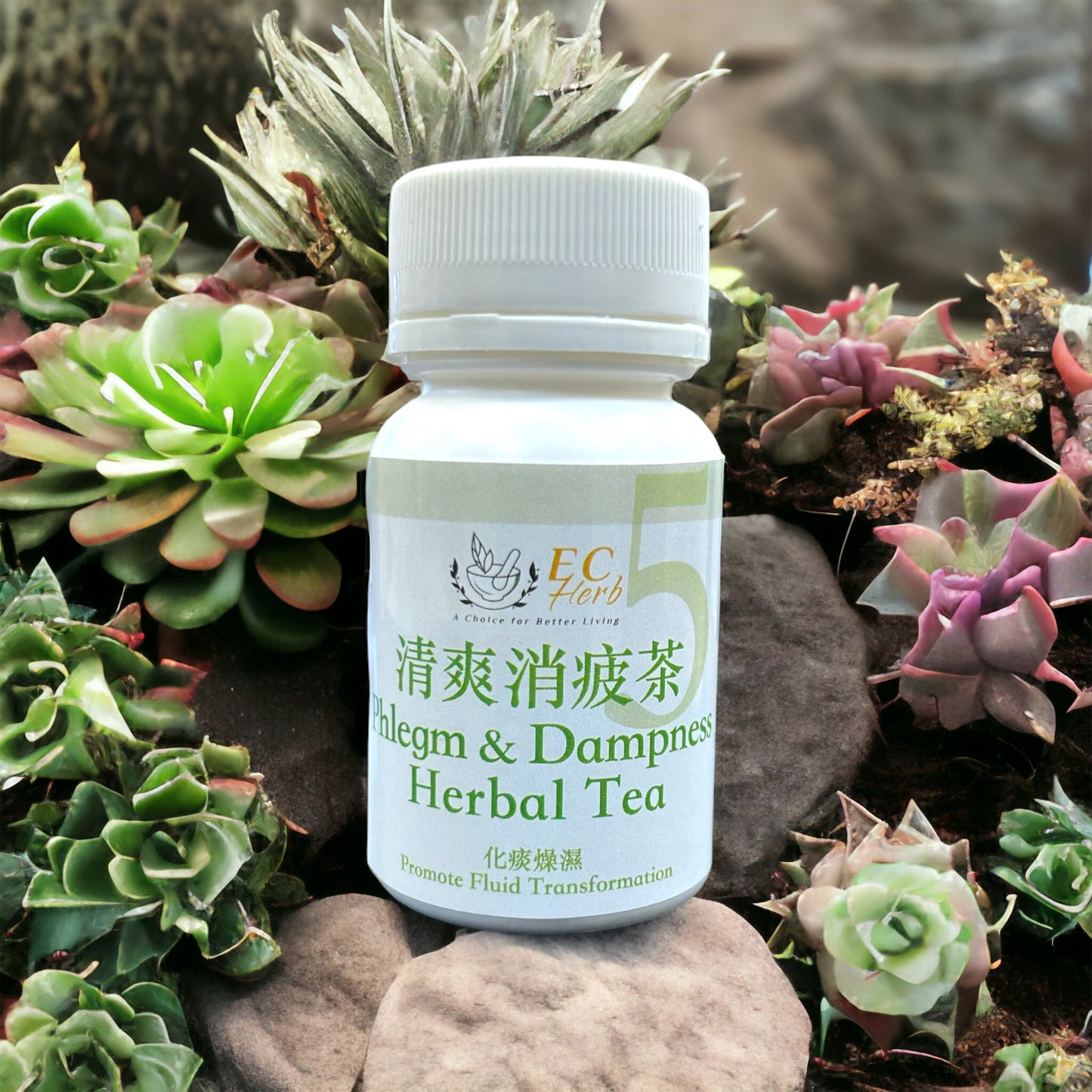 No. 5 清爽消疲