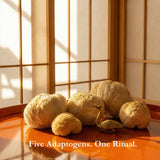 Five beige, textured mushroom-like ritual objects arranged on a glossy orange-brown surface in front of a Japanese shoji screen, with warm sunlight casting shadows. White text at the bottom reads 'Five Adaptogens.